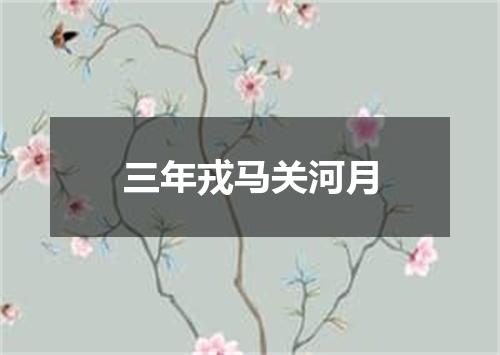 三年戎马关河月