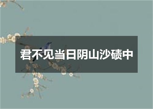 君不见当日阴山沙碛中