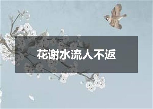 花谢水流人不返