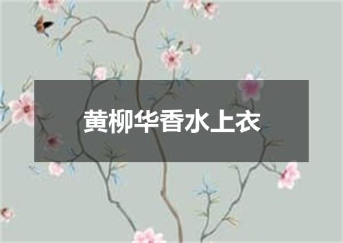 黄柳华香水上衣