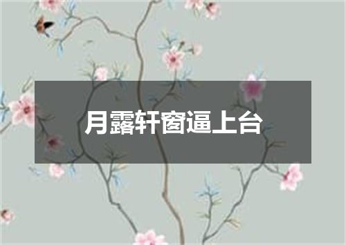 月露轩窗逼上台