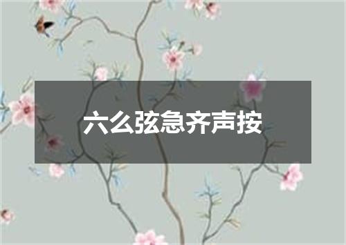 六么弦急齐声按