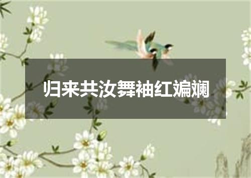 归来共汝舞袖红斒斓