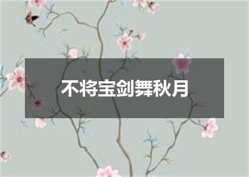 不将宝剑舞秋月