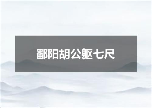 鄱阳胡公躯七尺