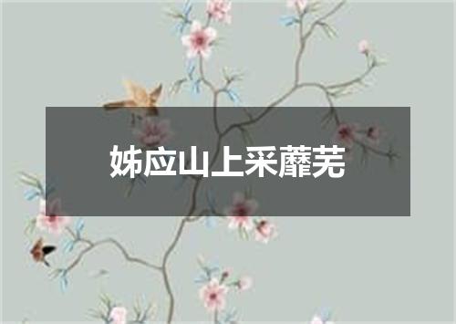 姊应山上采蘼芜