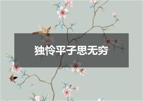 独怜平子思无穷