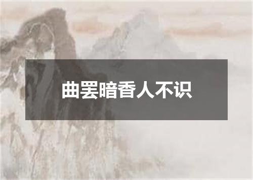 曲罢暗香人不识