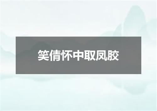 笑倩怀中取凤胶