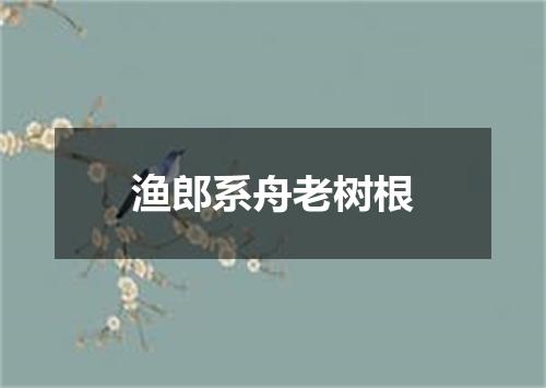 渔郎系舟老树根