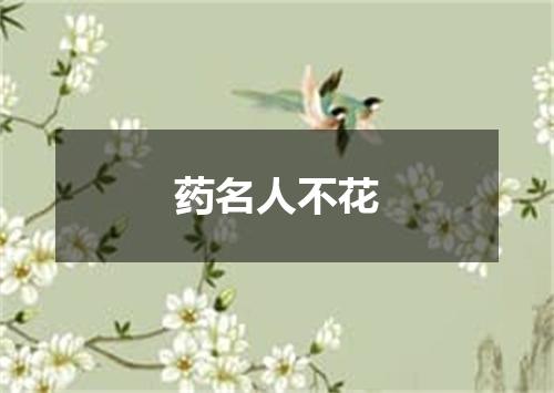 药名人不花