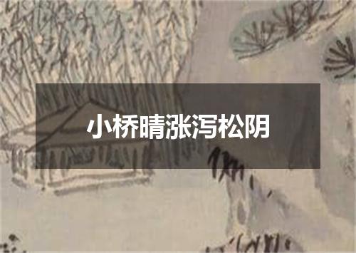 小桥晴涨泻松阴