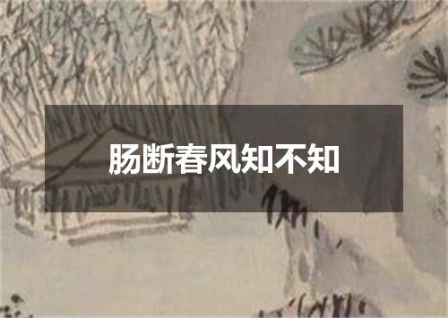 肠断春风知不知