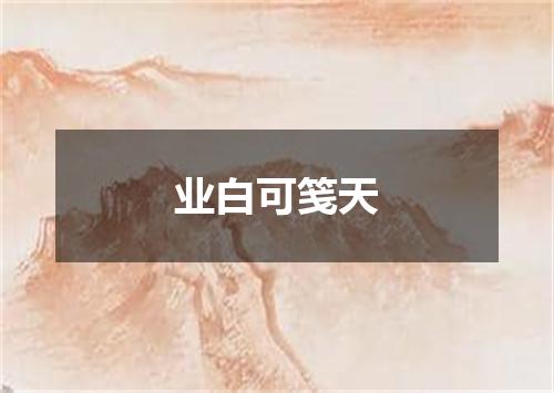 业白可笺天