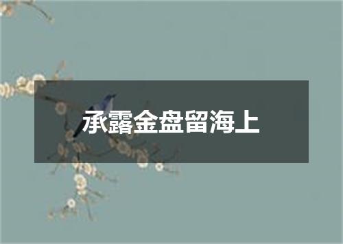 承露金盘留海上