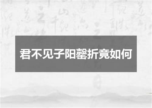 君不见子阳罄折竟如何