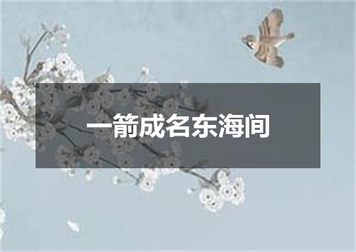 一箭成名东海间