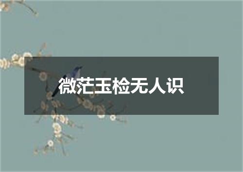 微茫玉检无人识