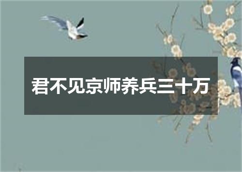 君不见京师养兵三十万