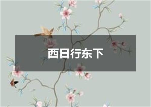 西日行东下