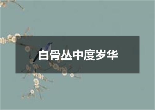 白骨丛中度岁华