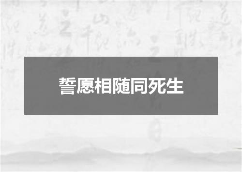 誓愿相随同死生