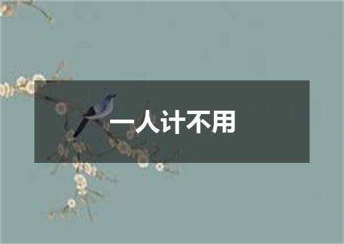 一人计不用