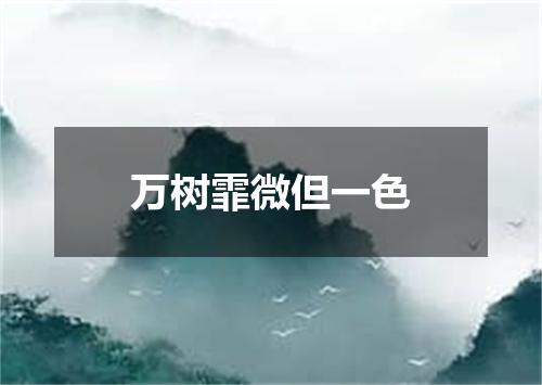 万树霏微但一色