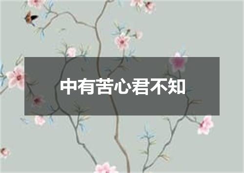 中有苦心君不知