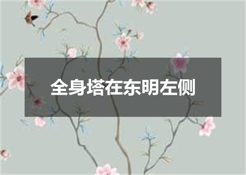 全身塔在东明左侧