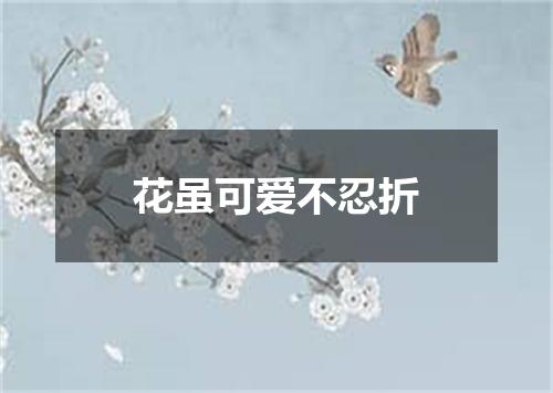 花虽可爱不忍折