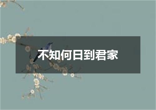 不知何日到君家