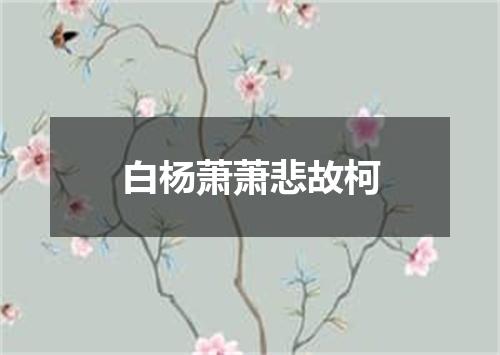 白杨萧萧悲故柯