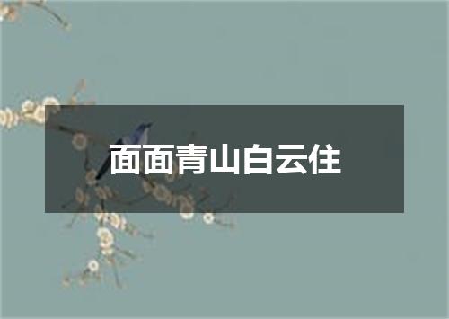 面面青山白云住