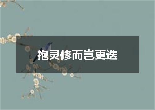 抱灵修而岂更迭