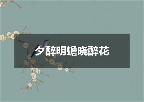 夕醉明蟾晓醉花