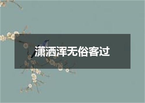 潇洒浑无俗客过