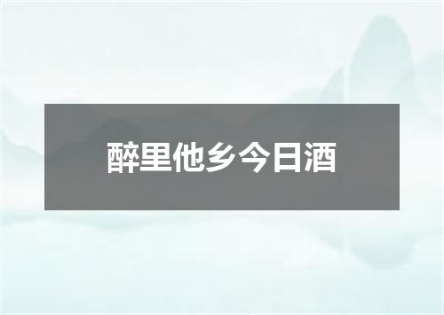 醉里他乡今日酒