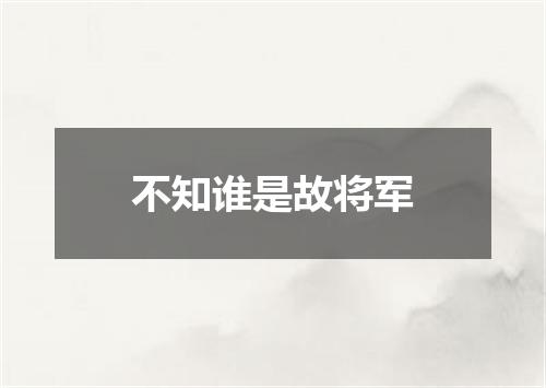 不知谁是故将军