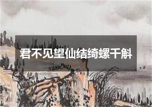 君不见望仙结绮螺千斛