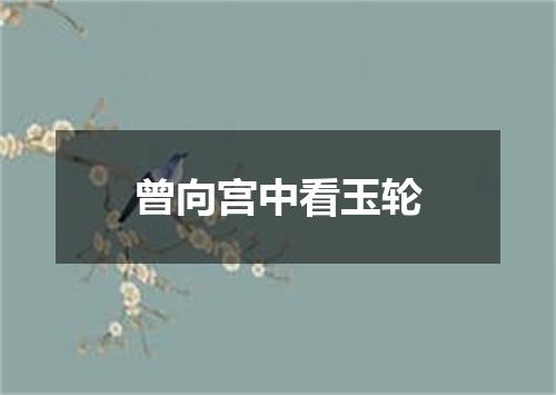 曾向宫中看玉轮