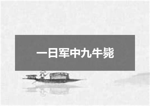 一日军中九牛毙