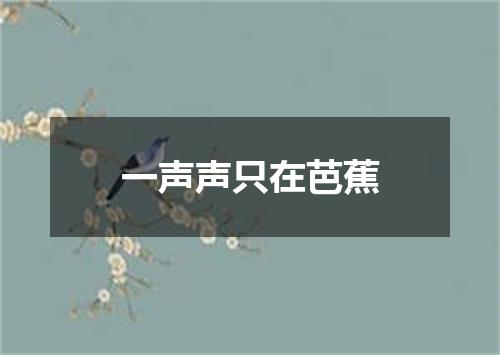 一声声只在芭蕉