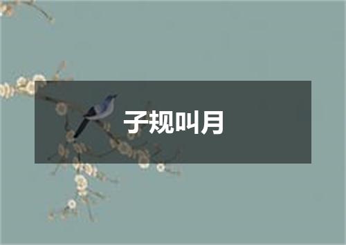 子规叫月