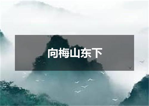 向梅山东下