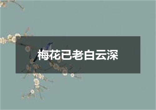 梅花已老白云深