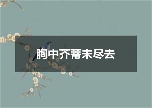 胸中芥蒂未尽去