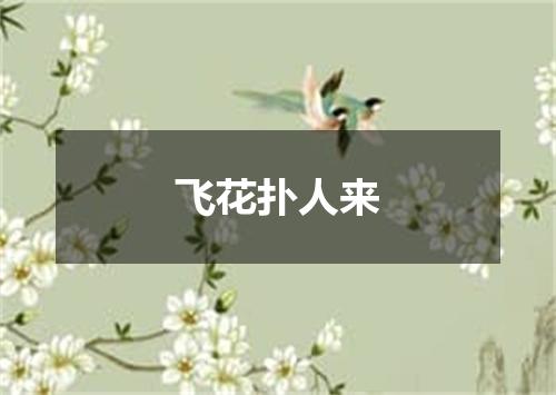 飞花扑人来