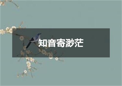 知音寄渺茫