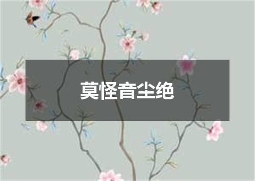 莫怪音尘绝